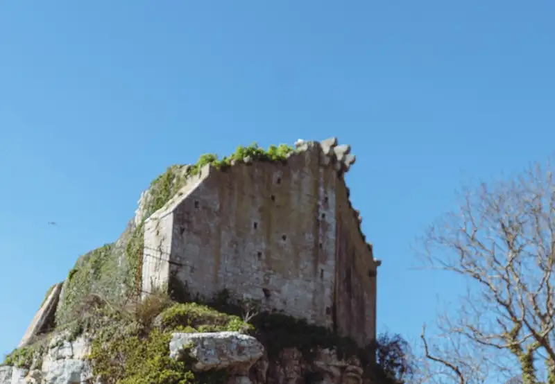 Image related to Portland Castle