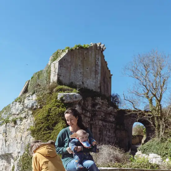 Image related to Image related to Portland Castle