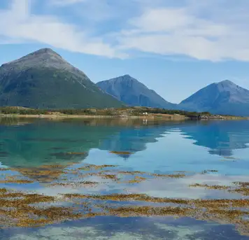 Sortland