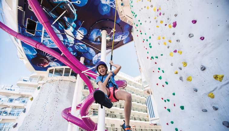 Rock Climbing Wall