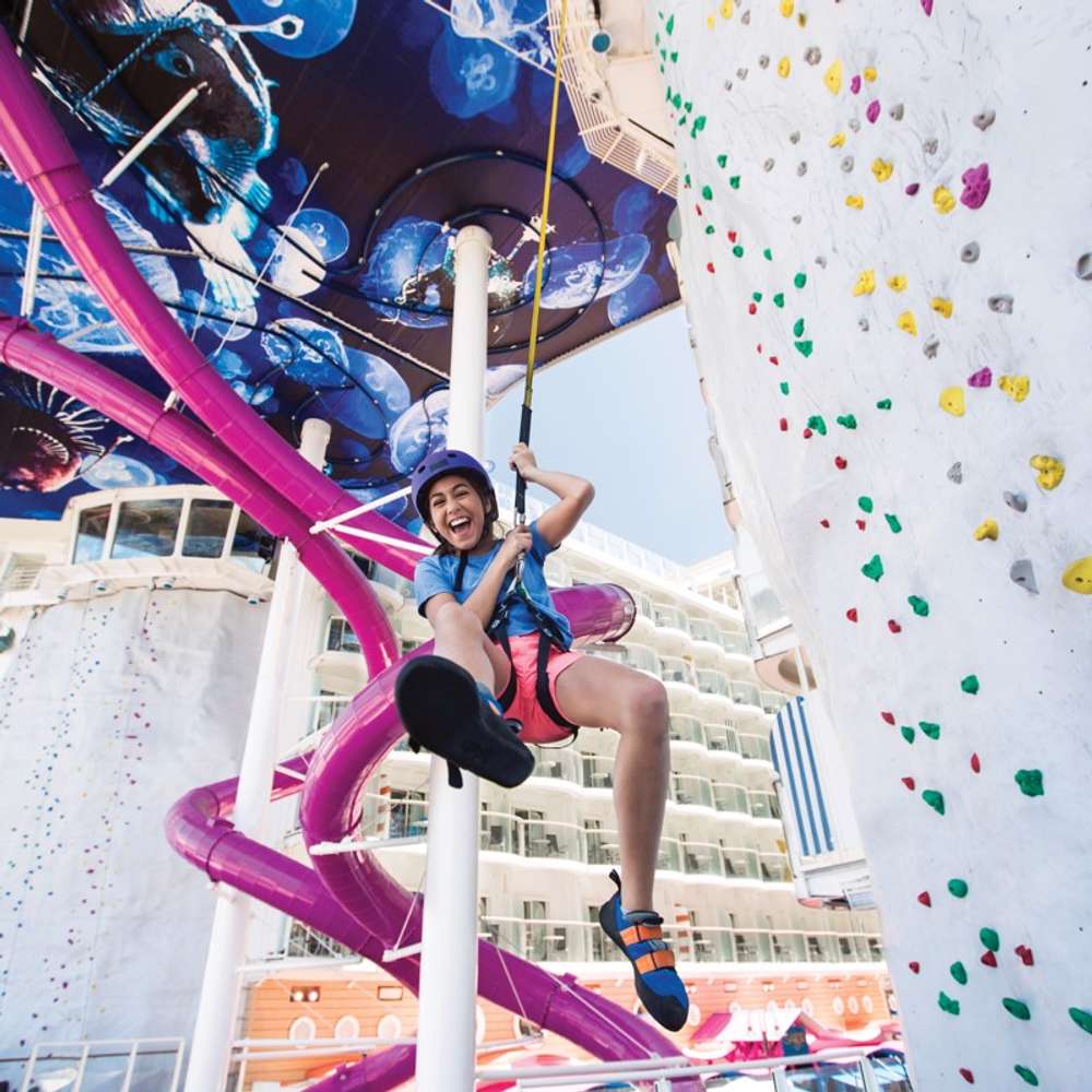 Rock Climbing Wall