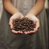 Image related to Visit Highland Coffee Farms