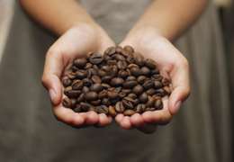 IgluCruise.Application.ViewModels.Shared.WebImageViewModel?.Description