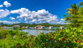 Image related to Amber Cove
