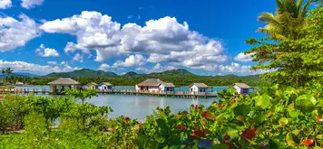 Image related to Amber Cove