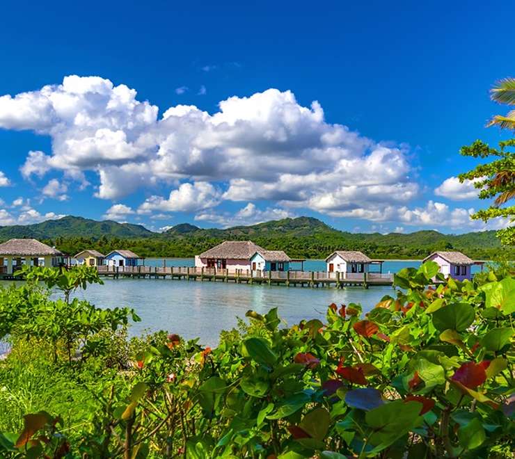 Amber Cove