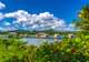 Amber Cove