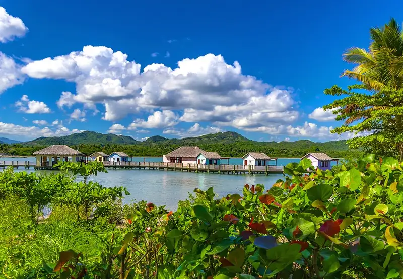 Amber Cove