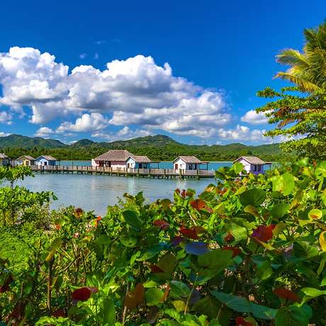 Photo overview of Amber Cove