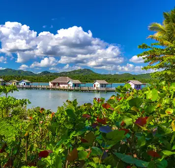 Image related to Amber Cove