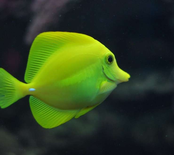 National Aquarium