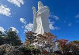 IgluCruise.Application.ViewModels.Shared.WebImageViewModel?.Description