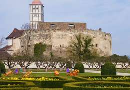 IgluCruise.Application.ViewModels.Shared.WebImageViewModel?.Description