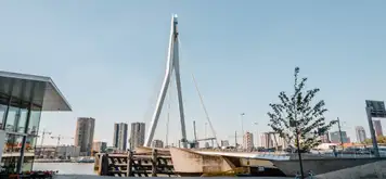 Image related to Erasmusbrug Bridge
