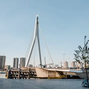 Image related to Image related to Erasmusbrug Bridge