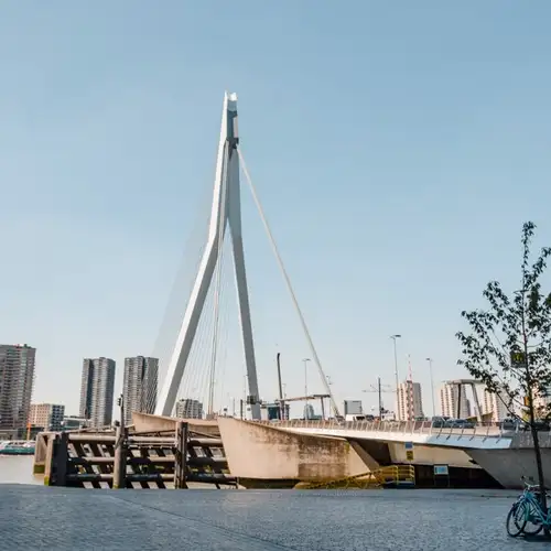 Image related to Erasmusbrug Bridge
