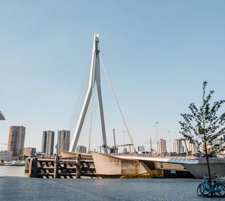 Erasmusbrug Bridge