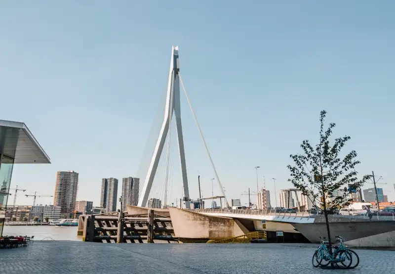 Erasmusbrug Bridge