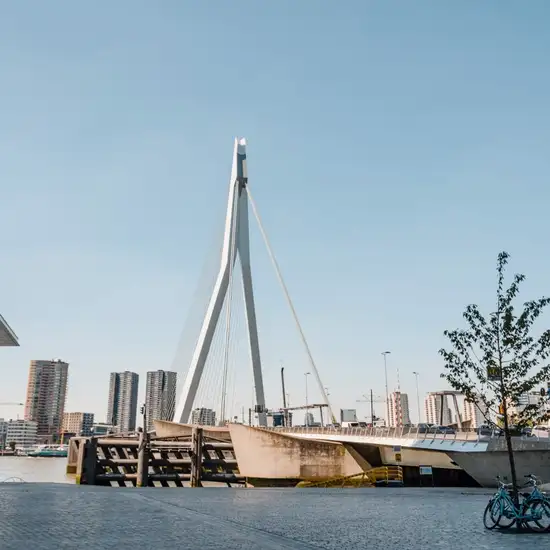 Image related to Image related to Erasmusbrug Bridge