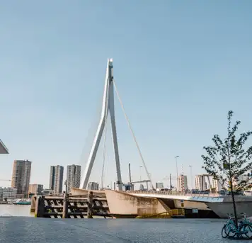 Image related to Image related to Erasmusbrug Bridge