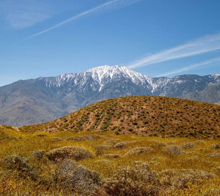 San Jacinto Mountains