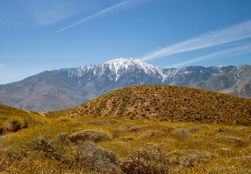 San Jacinto Mountains