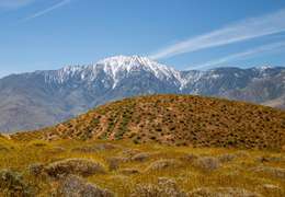 IgluCruise.Application.ViewModels.Shared.WebImageViewModel?.Description