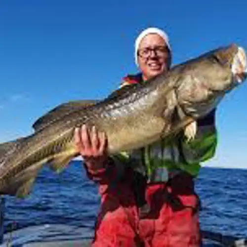 Image related to Take a Deep Sea Fishing Safari
