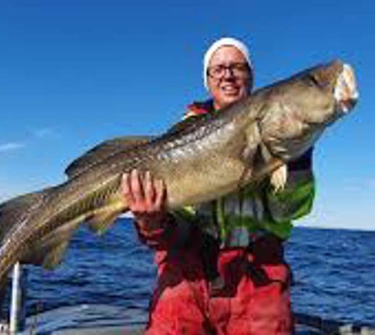Take a Deep Sea Fishing Safari