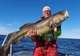Take a Deep Sea Fishing Safari