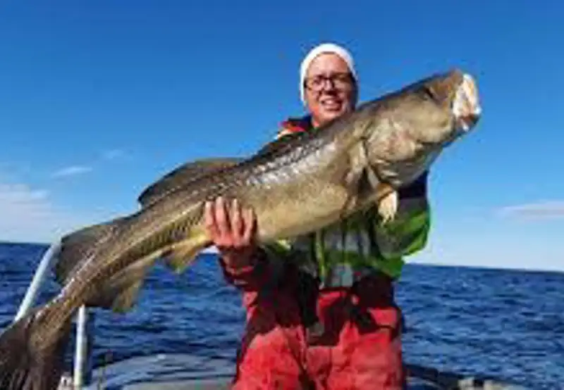 Take a Deep Sea Fishing Safari