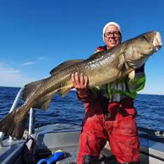 Image related to Take a Deep Sea Fishing Safari