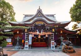 IgluCruise.Application.ViewModels.Shared.WebImageViewModel?.Description