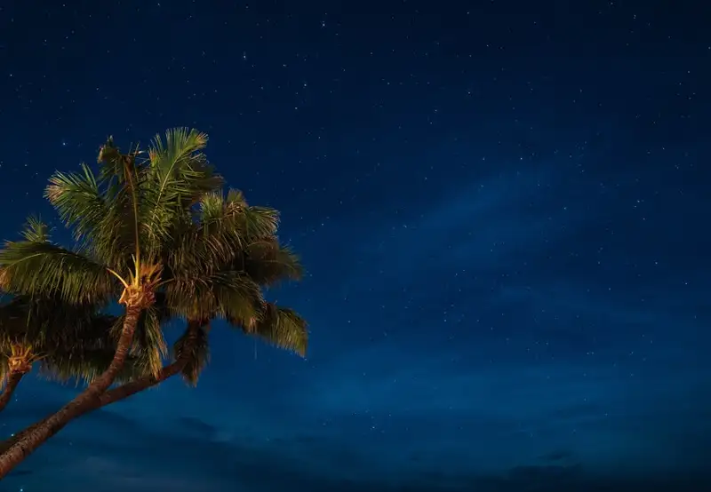 Lahaina Banyan Court