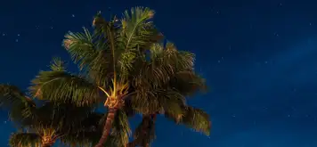 Image related to Lahaina Banyan Court