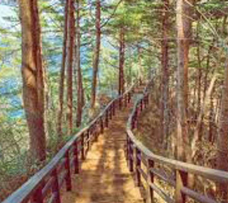Walk the Michinoku Coastal Trail