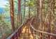 Walk the Michinoku Coastal Trail