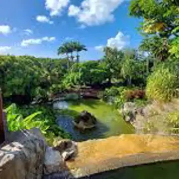 Image related to  Deshaies Botanical Garden