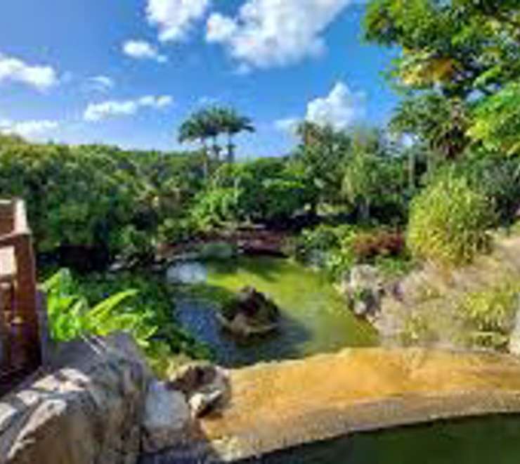  Deshaies Botanical Garden