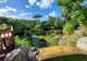  Deshaies Botanical Garden