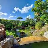 Image related to  Deshaies Botanical Garden