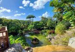 IgluCruise.Application.ViewModels.Shared.WebImageViewModel?.Description