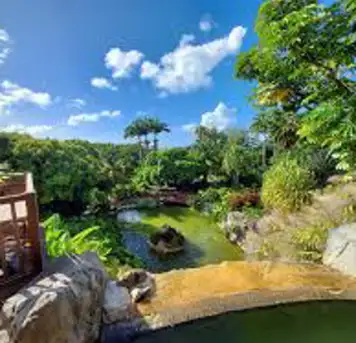 Image related to  Deshaies Botanical Garden