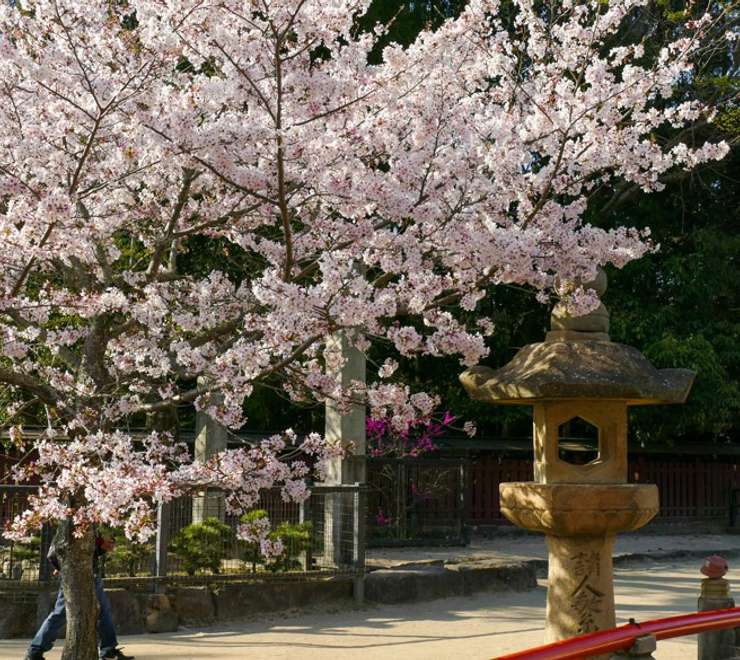 Hiroshima Hotel Stay