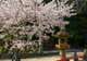Hiroshima Hotel Stay
