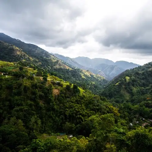 Image related to Image related to Blue Mountains 