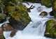 Hollyford Track