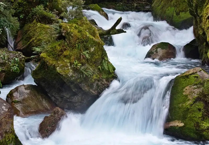 Hollyford Track