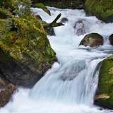 Image related to Hollyford Track