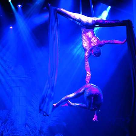 Image related to Entertainment (14)